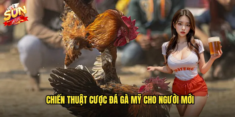 Chiến thuật cược đá gà mỹ cho người mới