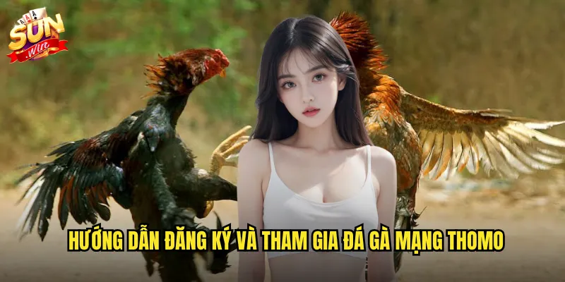 Hướng dẫn đăng ký và tham gia đá gà mạng thomo