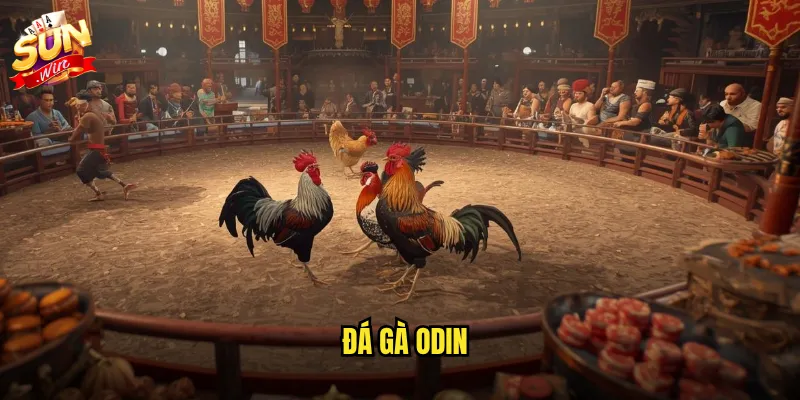 Đá Gà Odin Sunwin: Trải Nghiệm Đấu Trường Gà Thomo Đỉnh Cao Tại Cổng Game Uy Tín 1 đá gà Odin