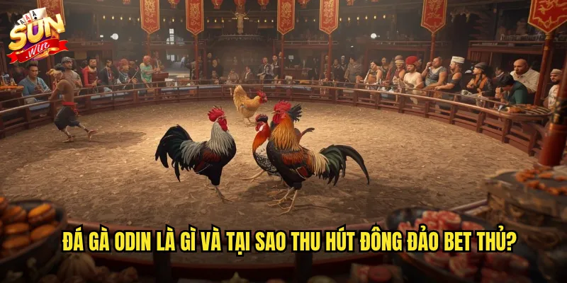 Đá Gà Odin Sunwin: Trải Nghiệm Đấu Trường Gà Thomo Đỉnh Cao Tại Cổng Game Uy Tín 2 Đá gà Odin là gì và tại sao thu hút đông đảo bet thủ?