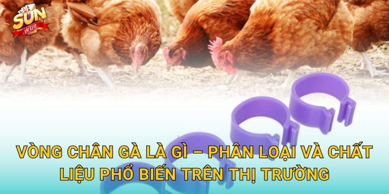 Vòng Chân Gà Sunwin – Phụ Kiện Thi Đấu Không Thể Thiếu Của Mọi Chiến Kê 2 Vòng Chân Gà Là Gì – Phân Loại Và Chất Liệu Phổ Biến Trên Thị Trường