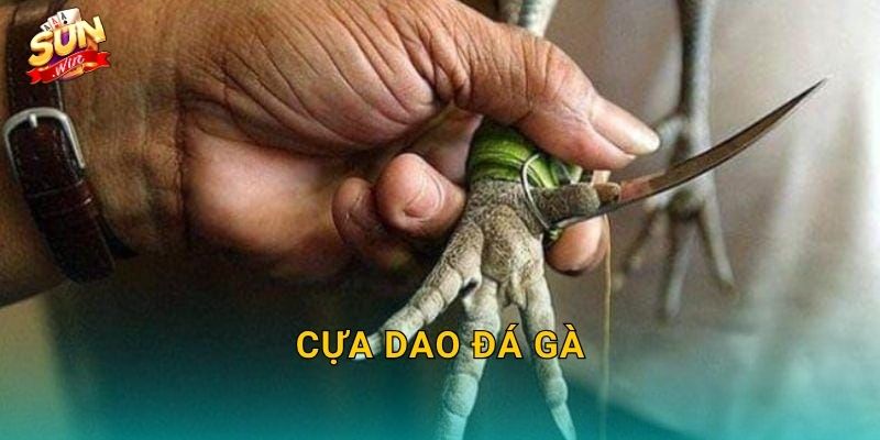 Cựa Dao Đá Gà Sunwin – Lưỡi Thép Sắc Bén Tạo Nên Những Trận Chiến Kinh Điển 4 Cựa Dao Đá Gà Sunwin – Lưỡi Thép Sắc Bén Tạo Nên Những Trận Chiến Kinh Điển