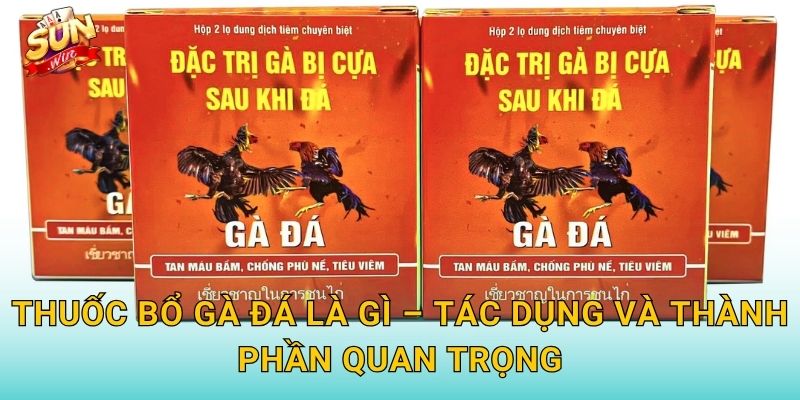 Thuốc Bổ Gà Đá Là Gì – Tác Dụng Và Thành Phần Quan Trọng